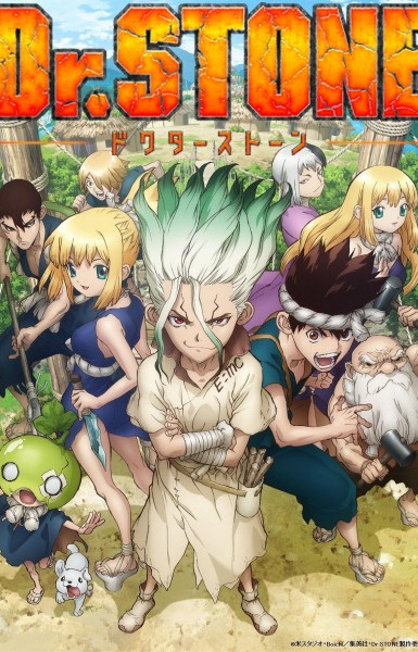 Dr. Stone