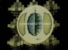 Scarab Beetle's Parade