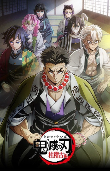 Demon Slayer: Kimetsu no Yaiba Hashira Training Arc