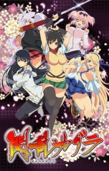 Senran Kagura: Ninja Flash