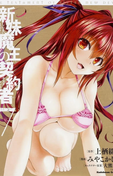 The Testament of Sister New Devil: Burst OVA