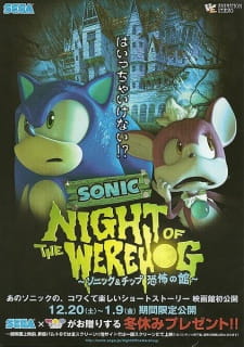 Sonic Night of the Werehog